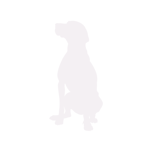 Hondensilhouet Hongaarse Vizsla zittend