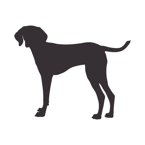Hondensilhouet Hongaarse Vizsla staand