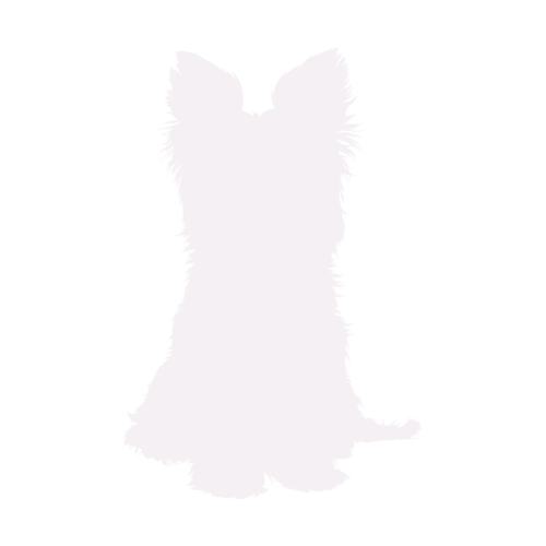 Hondensilhouet Yorkshire Terrier zittend