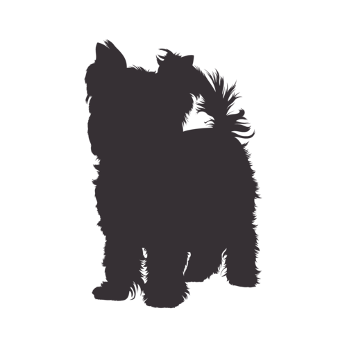 Hondensilhouet Yorkshire Terrier staand